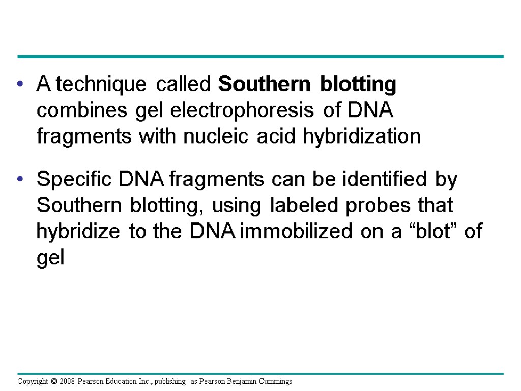 A technique called Southern blotting combines gel electrophoresis of DNA fragments with nucleic acid